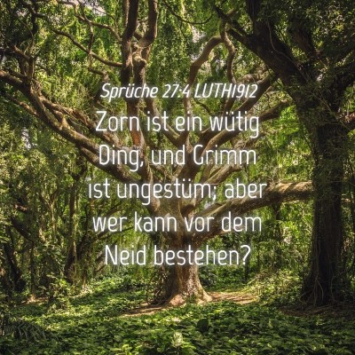 Picture 04 - Sprüche 27:4 LUTH1912 - Zorn ist ein wütig Ding, und Grimm ist - Bible Verse Picture