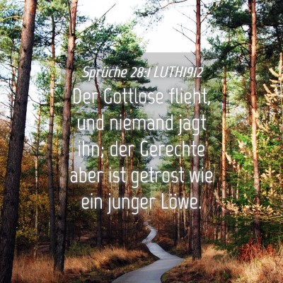 Picture 04 - Sprüche 28:1 LUTH1912 - Der Gottlose flieht, und niemand jagt ihn; der - Bible Verse Picture