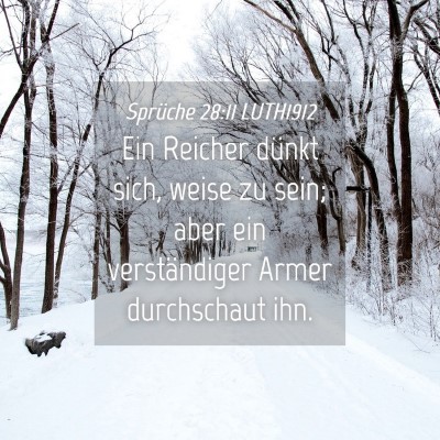 Picture 04 - Sprüche 28:11 LUTH1912 - Ein Reicher dünkt sich, weise zu sein; aber ein - Bible Verse Picture