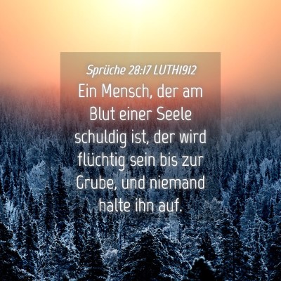 Picture 04 - Sprüche 28:17 LUTH1912 - Ein Mensch, der am Blut einer Seele schuldig ist, - Bible Verse Picture