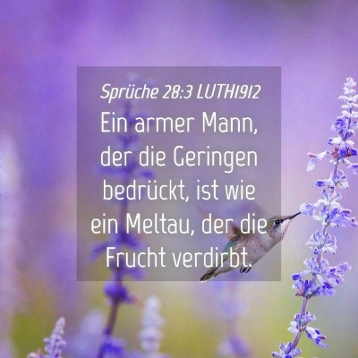 Picture 04 - Sprüche 28:3 LUTH1912 - Ein armer Mann, der die Geringen bedrückt, ist - Bible Verse Picture