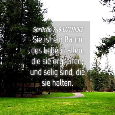 Picture 04 - Sprüche 3:18 LUTH1912 - Sie ist ein Baum des Lebens allen, die sie - Bible Verse Picture