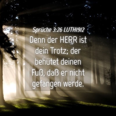 Picture 04 - Sprüche 3:26 LUTH1912 - Denn der HERR ist dein Trotz; der behütet deinen - Bible Verse Picture