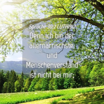 Picture 04 - Sprüche 30:2 LUTH1912 - Denn ich bin der allernärrischste, und - Bible Verse Picture