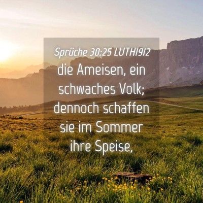 Picture 04 - Sprüche 30:25 LUTH1912 - die Ameisen, ein schwaches Volk; dennoch schaffen - Bible Verse Picture