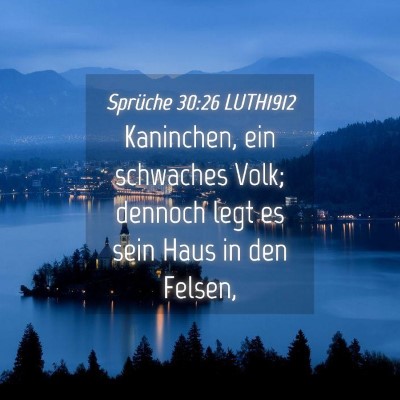 Picture 04 - Sprüche 30:26 LUTH1912 - Kaninchen, ein schwaches Volk; dennoch legt es - Bible Verse Picture
