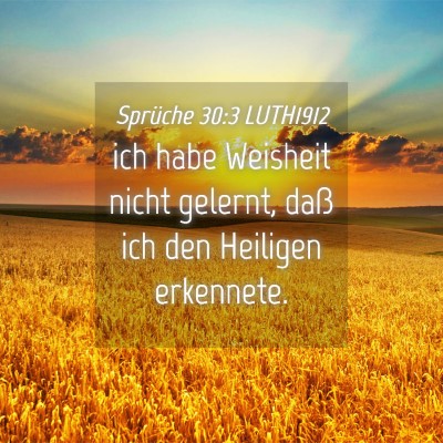 Picture 04 - Sprüche 30:3 LUTH1912 - ich habe Weisheit nicht gelernt, daß ich den - Bible Verse Picture