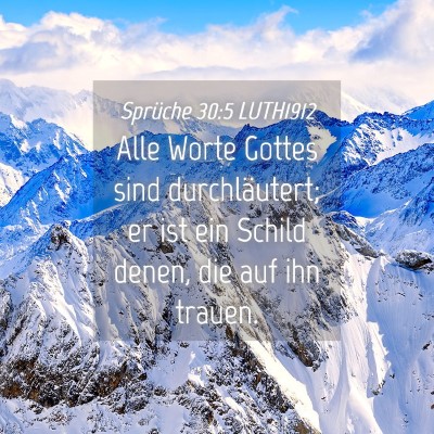 Picture 04 - Sprüche 30:5 LUTH1912 - Alle Worte Gottes sind durchläutert; er ist ein - Bible Verse Picture