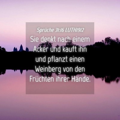 Picture 04 - Sprüche 31:16 LUTH1912 - Sie denkt nach einem Acker und kauft ihn und - Bible Verse Picture