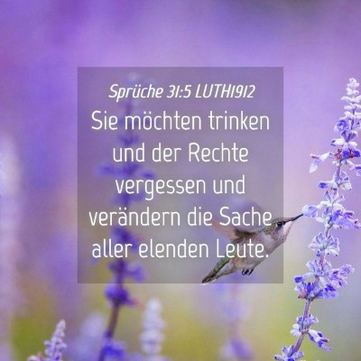 Picture 04 - Sprüche 31:5 LUTH1912 - Sie möchten trinken und der Rechte vergessen und - Bible Verse Picture
