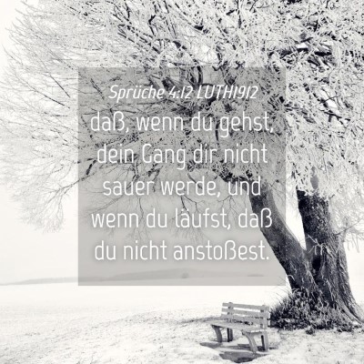 Picture 04 - Sprüche 4:12 LUTH1912 - daß, wenn du gehst, dein Gang dir nicht sauer - Bible Verse Picture
