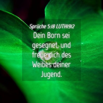 Picture 04 - Sprüche 5:18 LUTH1912 - Dein Born sei gesegnet, und freue dich des Weibes - Bible Verse Picture