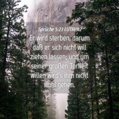 Picture 04 - Sprüche 5:23 LUTH1912 - Er wird sterben, darum daß er sich nicht will - Bible Verse Picture