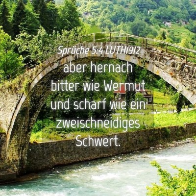 Picture 04 - Sprüche 5:4 LUTH1912 - aber hernach bitter wie Wermut und scharf wie ein - Bible Verse Picture