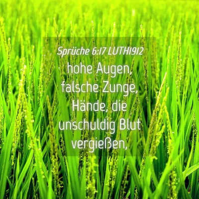 Picture 04 - Sprüche 6:17 LUTH1912 - hohe Augen, falsche Zunge, Hände, die unschuldig - Bible Verse Picture