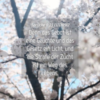 Picture 04 - Sprüche 6:23 LUTH1912 - Denn das Gebot ist eine Leuchte und das Gesetz - Bible Verse Picture