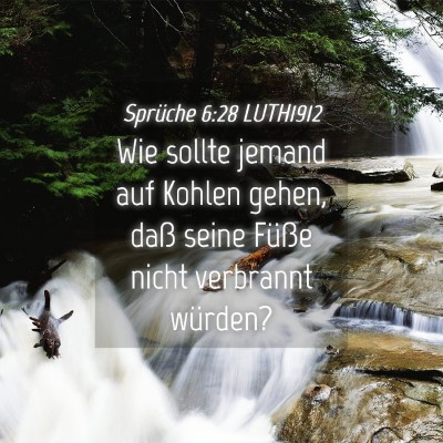 Picture 04 - Sprüche 6:28 LUTH1912 - Wie sollte jemand auf Kohlen gehen, daß seine - Bible Verse Picture