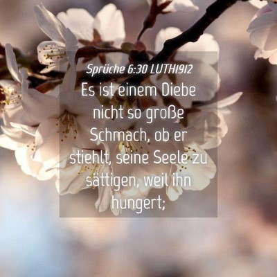 Picture 04 - Sprüche 6:30 LUTH1912 - Es ist einem Diebe nicht so große Schmach, ob er - Bible Verse Picture