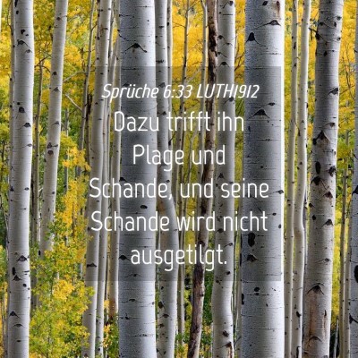 Picture 04 - Sprüche 6:33 LUTH1912 - Dazu trifft ihn Plage und Schande, und seine - Bible Verse Picture
