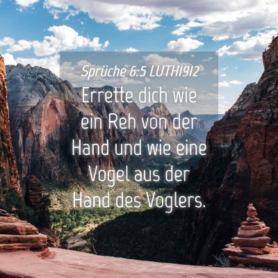 Picture 04 - Sprüche 6:5 LUTH1912 - Errette dich wie ein Reh von der Hand und wie - Bible Verse Picture