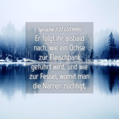 Picture 04 - Sprüche 7:22 LUTH1912 - Er folgt ihr alsbald nach, wie ein Ochse zur - Bible Verse Picture