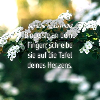 Picture 04 - Sprüche 7:3 LUTH1912 - Binde sie an deine Finger; schreibe sie auf die - Bible Verse Picture