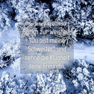 Picture 04 - Sprüche 7:4 LUTH1912 - Sprich zur Weisheit: “Du bist meine - Bible Verse Picture