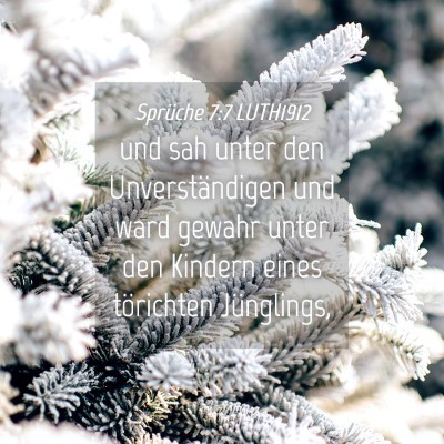 Picture 04 - Sprüche 7:7 LUTH1912 - und sah unter den Unverständigen und ward gewahr - Bible Verse Picture