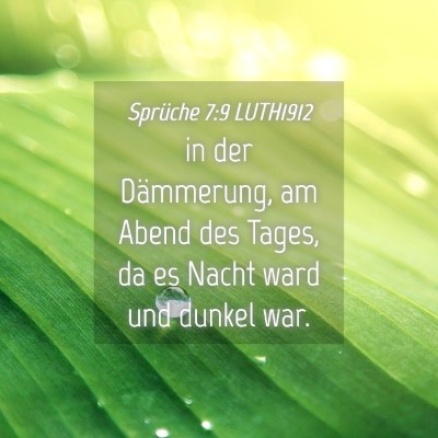 Picture 04 - Sprüche 7:9 LUTH1912 - in der Dämmerung, am Abend des Tages, da es - Bible Verse Picture