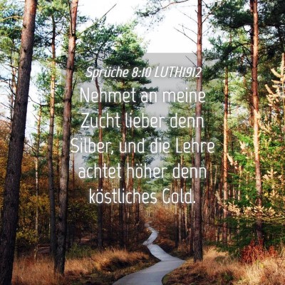 Picture 04 - Sprüche 8:10 LUTH1912 - Nehmet an meine Zucht lieber denn Silber, und die - Bible Verse Picture
