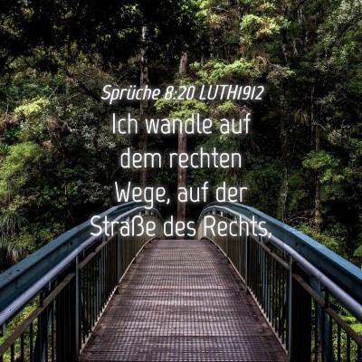 Picture 04 - Sprüche 8:20 LUTH1912 - Ich wandle auf dem rechten Wege, auf der Straße - Bible Verse Picture