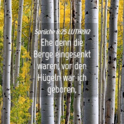 Picture 04 - Sprüche 8:25 LUTH1912 - Ehe denn die Berge eingesenkt waren, vor den - Bible Verse Picture