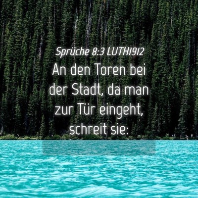 Picture 04 - Sprüche 8:3 LUTH1912 - An den Toren bei der Stadt, da man zur Tür - Bible Verse Picture