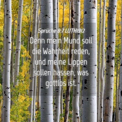 Picture 04 - Sprüche 8:7 LUTH1912 - Denn mein Mund soll die Wahrheit reden, und meine - Bible Verse Picture