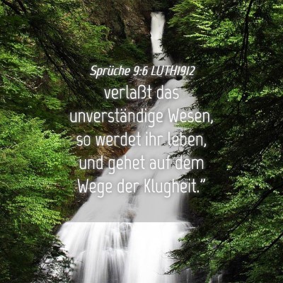 Picture 04 - Sprüche 9:6 LUTH1912 - verlaßt das unverständige Wesen, so werdet ihr - Bible Verse Picture