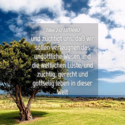Picture 04 - Titus 2:12 LUTH1912 - und züchtigt uns, daß wir sollen verleugnen das - Bible Verse Picture