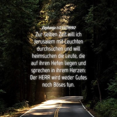 Picture 04 - Zephanja 1:12 LUTH1912 - Zur selben Zeit will ich Jerusalem mit Leuchten - Bible Verse Picture