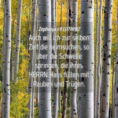 Picture 04 - Zephanja 1:9 LUTH1912 - Auch will ich zur selben Zeit die heimsuchen, so - Bible Verse Picture
