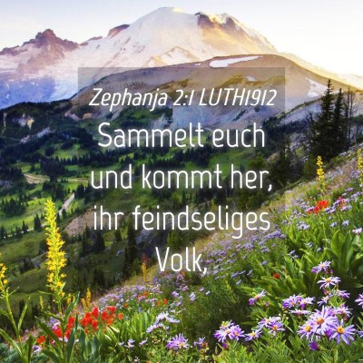 Picture 04 - Zephanja 2:1 LUTH1912 - Sammelt euch und kommt her, ihr feindseliges - Bible Verse Picture