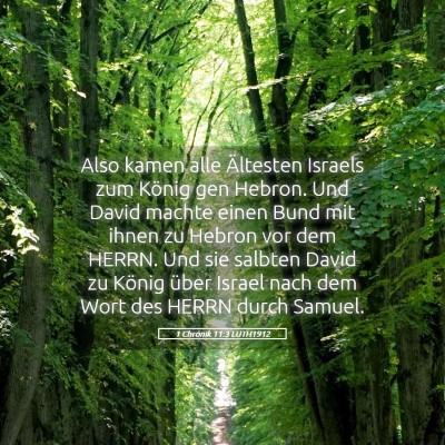 Picture 05 - 1 Chronik 11:3 LUTH1912 - Also kamen alle Ältesten Israels zum König gen - Bible Verse Picture