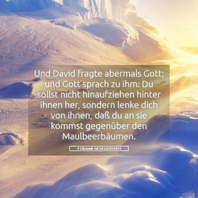 Picture 05 - 1 Chronik 14:14 LUTH1912 - Und David fragte abermals Gott; und Gott sprach - Bible Verse Picture