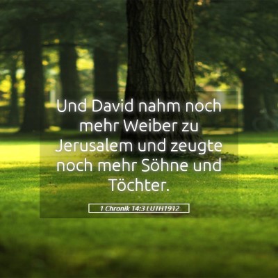 Picture 05 - 1 Chronik 14:3 LUTH1912 - Und David nahm noch mehr Weiber zu Jerusalem und - Bible Verse Picture