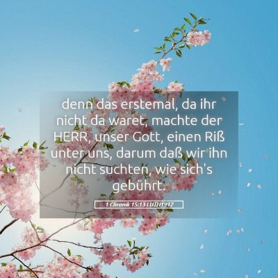Picture 05 - 1 Chronik 15:13 LUTH1912 - denn das erstemal, da ihr nicht da waret, machte - Bible Verse Picture