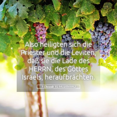 Picture 05 - 1 Chronik 15:14 LUTH1912 - Also heiligten sich die Priester und die Leviten, - Bible Verse Picture