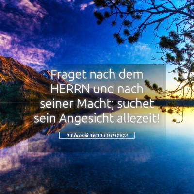Picture 05 - 1 Chronik 16:11 LUTH1912 - Fraget nach dem HERRN und nach seiner Macht; - Bible Verse Picture