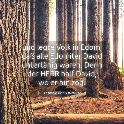 Picture 05 - 1 Chronik 18:13 LUTH1912 - und legte Volk in Edom, daß alle Edomiter David - Bible Verse Picture