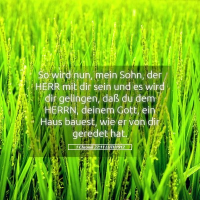 Picture 05 - 1 Chronik 22:11 LUTH1912 - So wird nun, mein Sohn, der HERR mit dir sein und - Bible Verse Picture