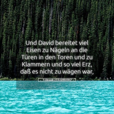 Picture 05 - 1 Chronik 22:3 LUTH1912 - Und David bereitet viel Eisen zu Nägeln an die - Bible Verse Picture