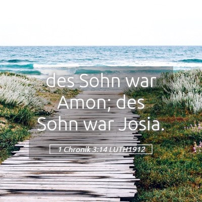 Picture 05 - 1 Chronik 3:14 LUTH1912 - des Sohn war Amon; des Sohn war - Bible Verse Picture