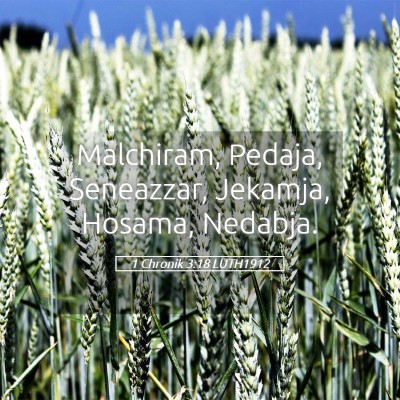 Picture 05 - 1 Chronik 3:18 LUTH1912 - Malchiram, Pedaja, Seneazzar, Jekamja, Hosama, - Bible Verse Picture